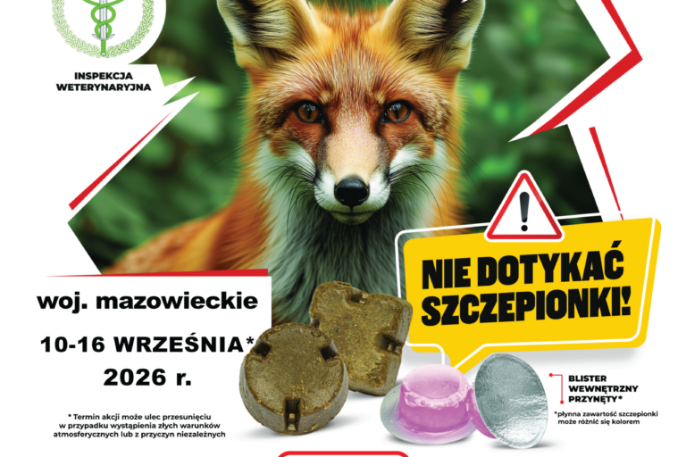 Zał.2_plakat_szczepienie_lisów_jesień_2026_(Załącznik_-_RPW_31483_2026)
